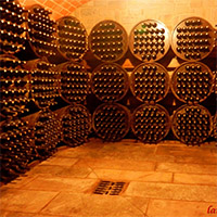 Cantina di Elrond