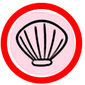 Molluschi