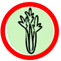 Sedano