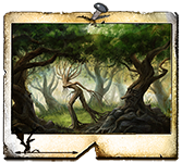 Bozzoli di Bosco Atro&trade;