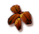 Erbivoro Malvagio