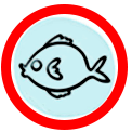 Pesce