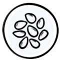 Sesamo