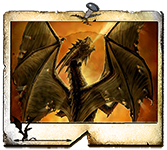 Drago di Bronzo